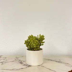 Faux Plant No. 80
