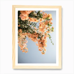 No. 101 Artwork - L - 30X42
