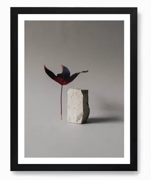 No. 245 Artwork - L - 25x33