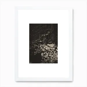 No. 266 Artwork