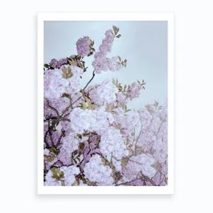 No. 80 Artwork