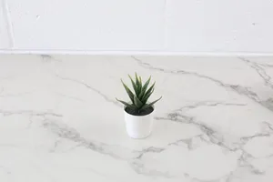 Faux Plant No. 30