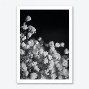 No. 100 Artwork