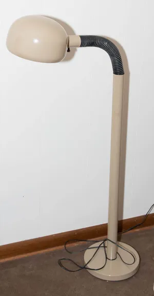 AMANDA MCM Gooseneck Floor Lamp