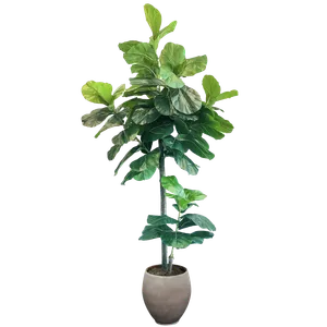 AMANDA Faux Plant No. 94
