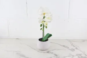 Faux Plant No. 21