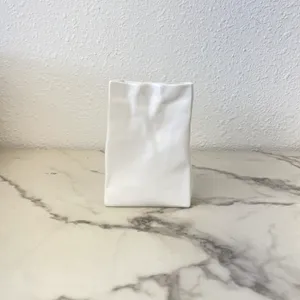 Temu Paper Bag