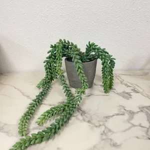 Faux Plant No. 82