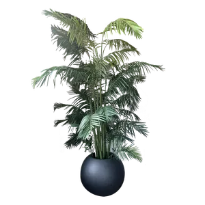 KATRIN XL Palm Tree + Blk XL Sphere Planter