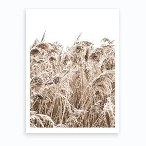 No. 92 Artwork - L - 25X33