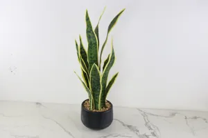 AMANDA Faux Plant No. 54
