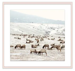 Katrin Reindeer Artwork