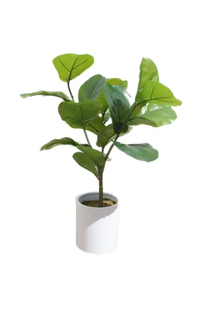 Faux Plant No. 58