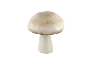 AMANDA Magic Mushroom