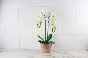 Faux Plant No. 46