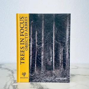 MB - Treess In Focus