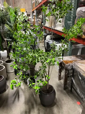 AMANDA Faux Plant No. 90