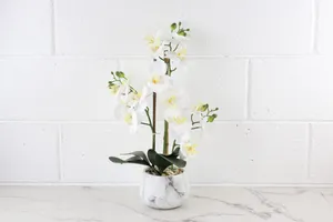 Faux Plant No. 44