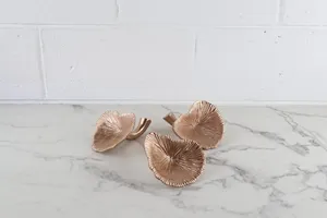Rose Gold Mushroom