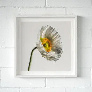 No. 109 Artwork
