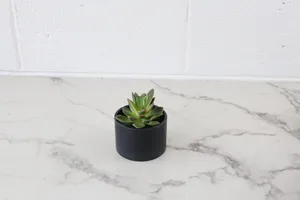 Faux Plant No. 34