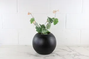 Faux Stems No. 11
