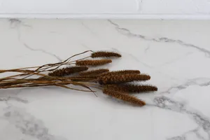 Dried Stem No. 2