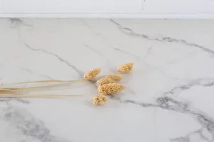 Dried Stem No. 7