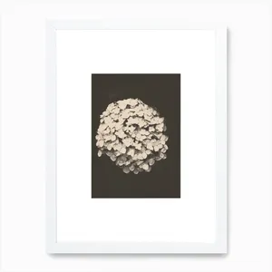 No. 268 Artwork