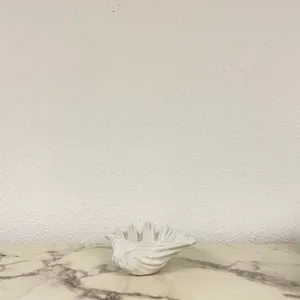 Ceramic White Shell Catchall