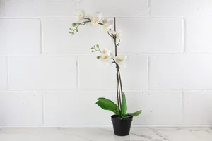 Faux Plant No. 45