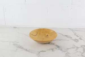 Vintage Petrified Wood Bowl