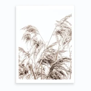 No. 95 Artwork