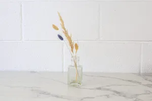 Vase No. 11