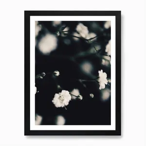 No. 96 Artwork