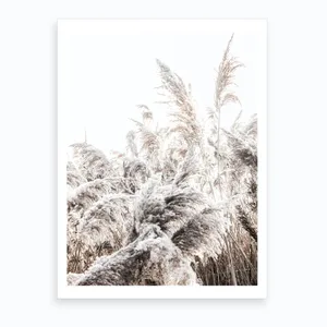 No. 66 Artwork