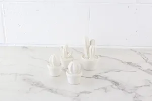 Ceramic Cacti Set