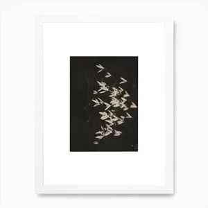 No. 267 Artwork