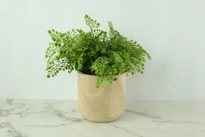 Faux Plant No. 49