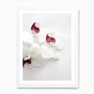 No. 252 Artwork