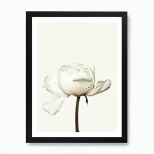 No. 286 Artwork - L - 30x40