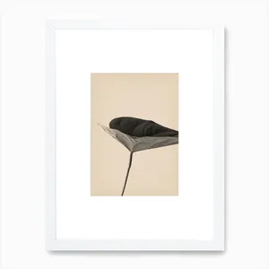 No. 269 Artwork