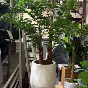 Katrin Dark Leaf Palm + Wht Pot