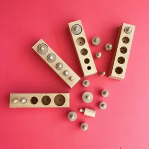 Montessori Sylinderblokker