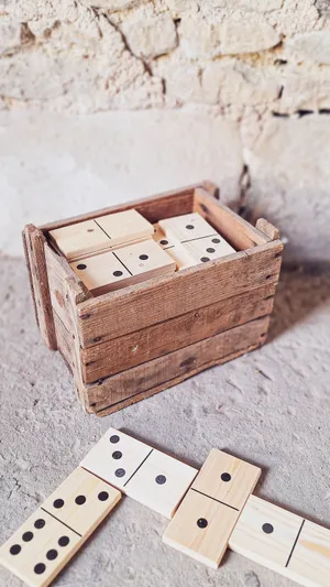 Jeu Dominos XL