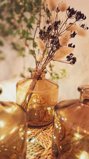 Soliflore Sienna fumé