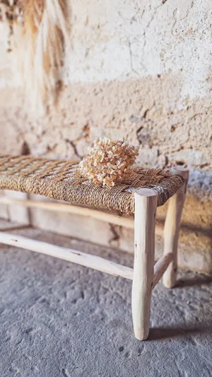 Banc Babette