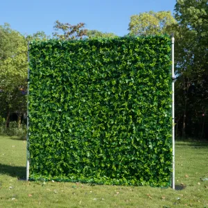 Greenery Wall