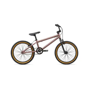 Children BMX