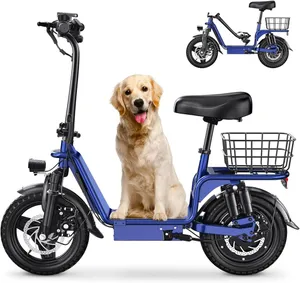 Sit up E-Bike 900w